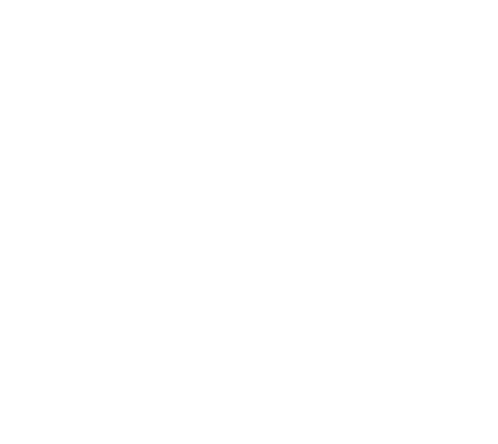 David Bryan Finances lion emblem